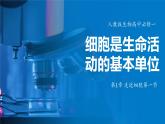 人教版生物高中必修一第1章 走近细胞第一节细胞是生命活动的基本单位 课件