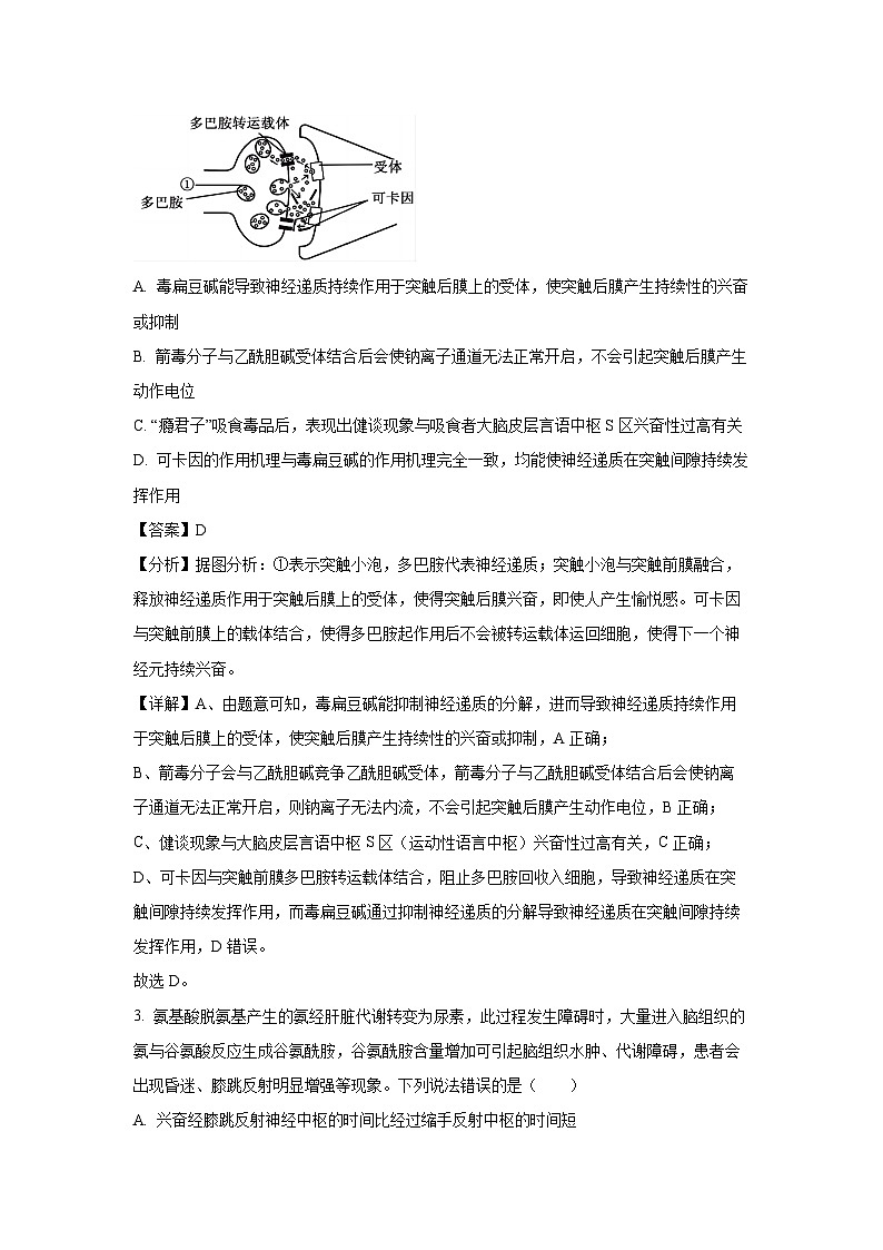 [生物]河南省驻马店市河南驻马店经济开发区2023-2024学年高二下学期7月期末试题(解析版)02