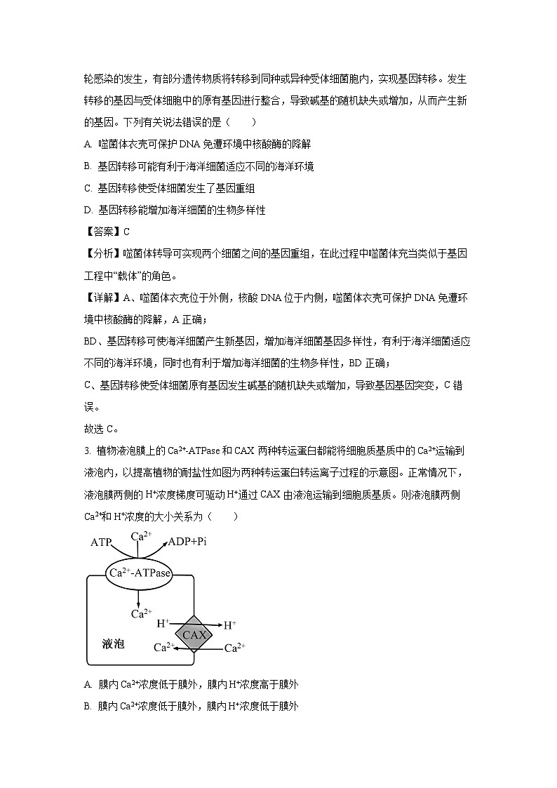 [生物]河南省豫东地区2024-2025学年高三上学期第一次月考考试(解析版)02