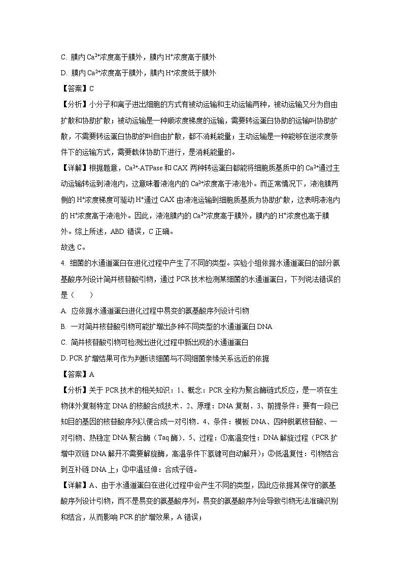 [生物]河南省豫东地区2024-2025学年高三上学期第一次月考考试(解析版)03
