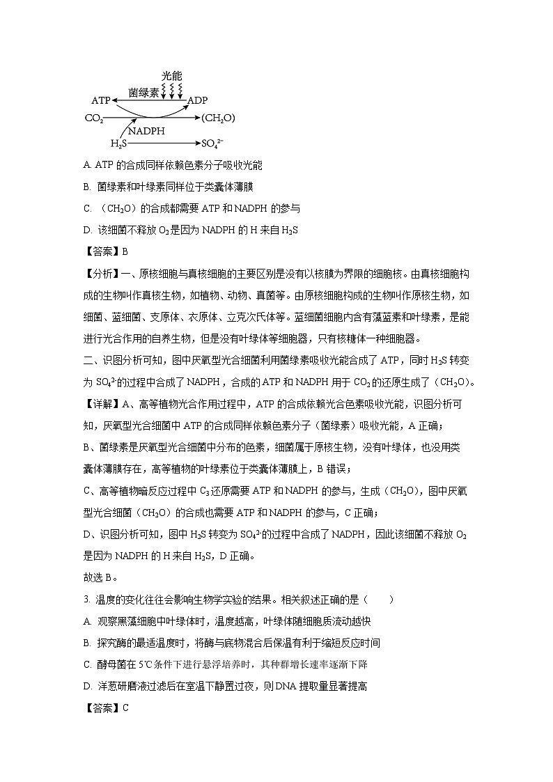 [生物]2025届广东省高三上学期第一次调研考试(解析版)02