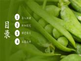 人教版生物高中必修二第1章 遗传因子的发现第2节孟德尔的豌豆杂交实验（二）（第2课时）课件