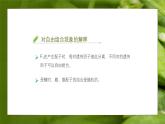 人教版生物高中必修二第1章 遗传因子的发现第2节孟德尔的豌豆杂交实验（二）（第2课时）课件
