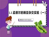 人教版高中生物下册必修二1.1 孟德尔的豌豆杂交实验（一）课件