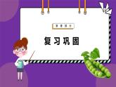 人教版高中生物下册必修二1.1 孟德尔的豌豆杂交实验（一）课件