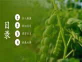 人教版生物高中必修二第1章 遗传因子的发现第1节孟德尔的豌豆杂交实验（一）（第2课时）课件