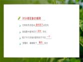 人教版生物高中必修二第1章 遗传因子的发现第1节孟德尔的豌豆杂交实验（一）（第2课时）课件