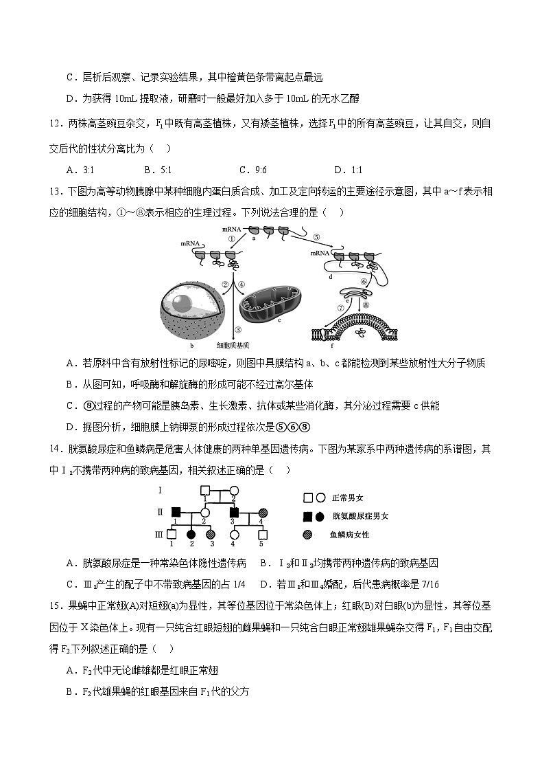 重庆市乌江新高考协作体2024-2025学年高三上学期9月月考生物试题03