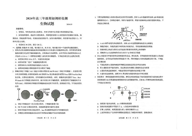 山东省青岛市2024-2025学年高三上学期期初考试生物试题第1页