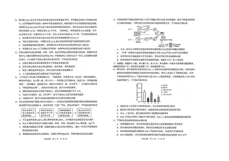 山东省青岛市2024-2025学年高三上学期期初考试生物试题第3页