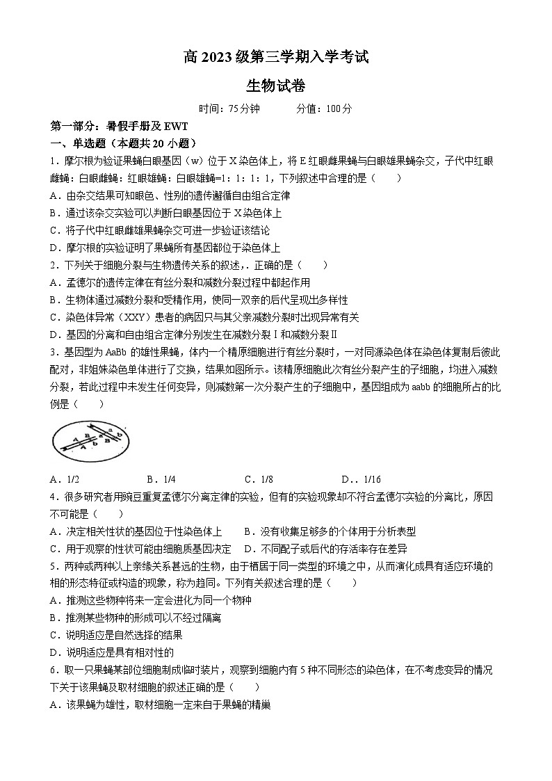四川省平昌中学等校2024-2025学年高二上学期开学考试生物(无答案)01