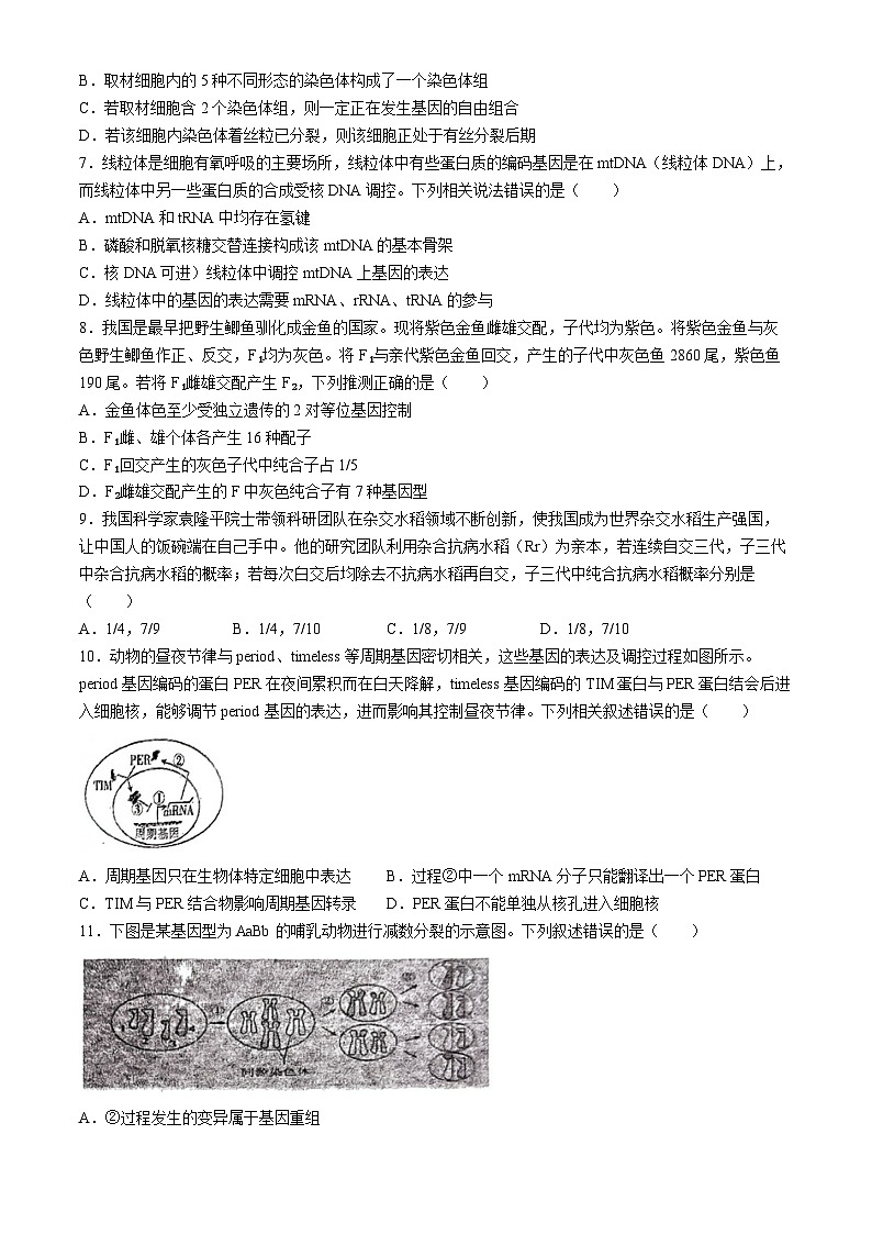 四川省平昌中学等校2024-2025学年高二上学期开学考试生物(无答案)02