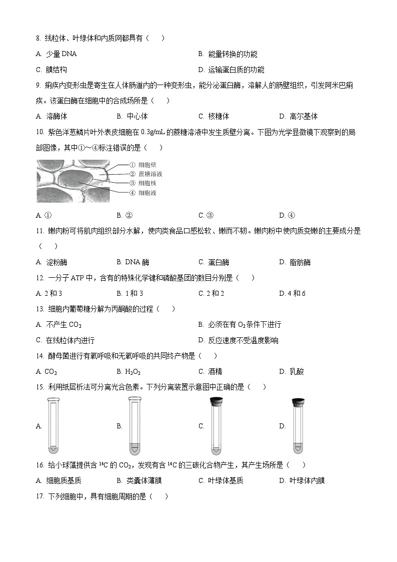 北京市昌平区2023-2024学年高一上学期期末考试生物试题（Word版附解析）02