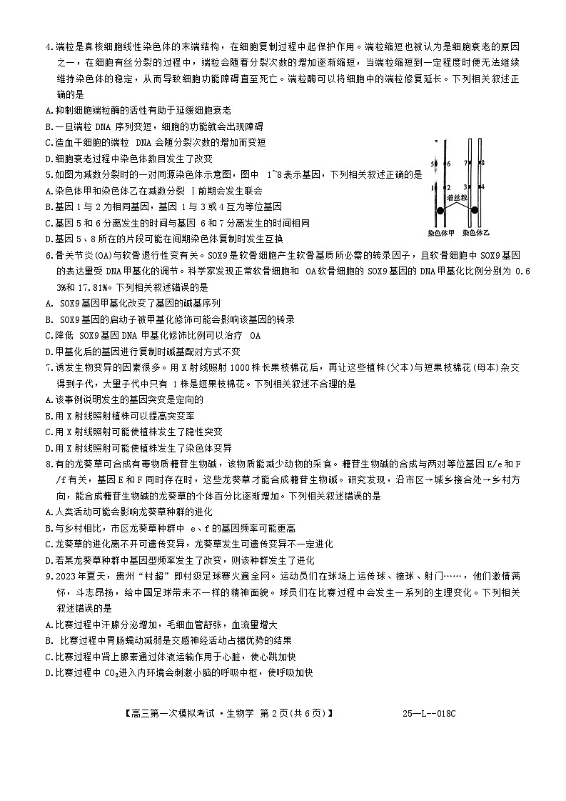 陕西省教育联盟2025届高三上学期第一次模拟考试生物试题（Word版附答案）02