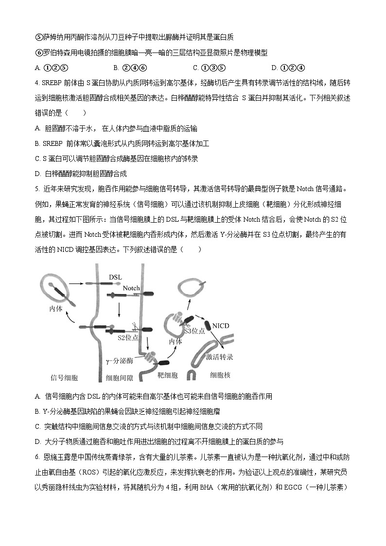 山东省济宁市第一中学2024-2025学年高三上学期开学考试生物试题（Word版附答案）02