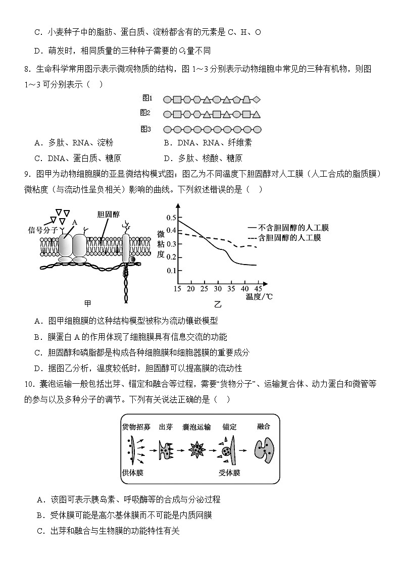福建省南平市高级中学2024-2025学年高三上学期9月月考生物试题第3页