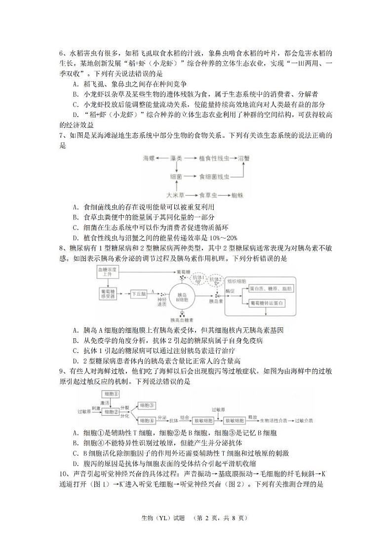 湖南省长沙市雅礼中学2024-2025学年高三上学期（9月）综合自主测试 生物02