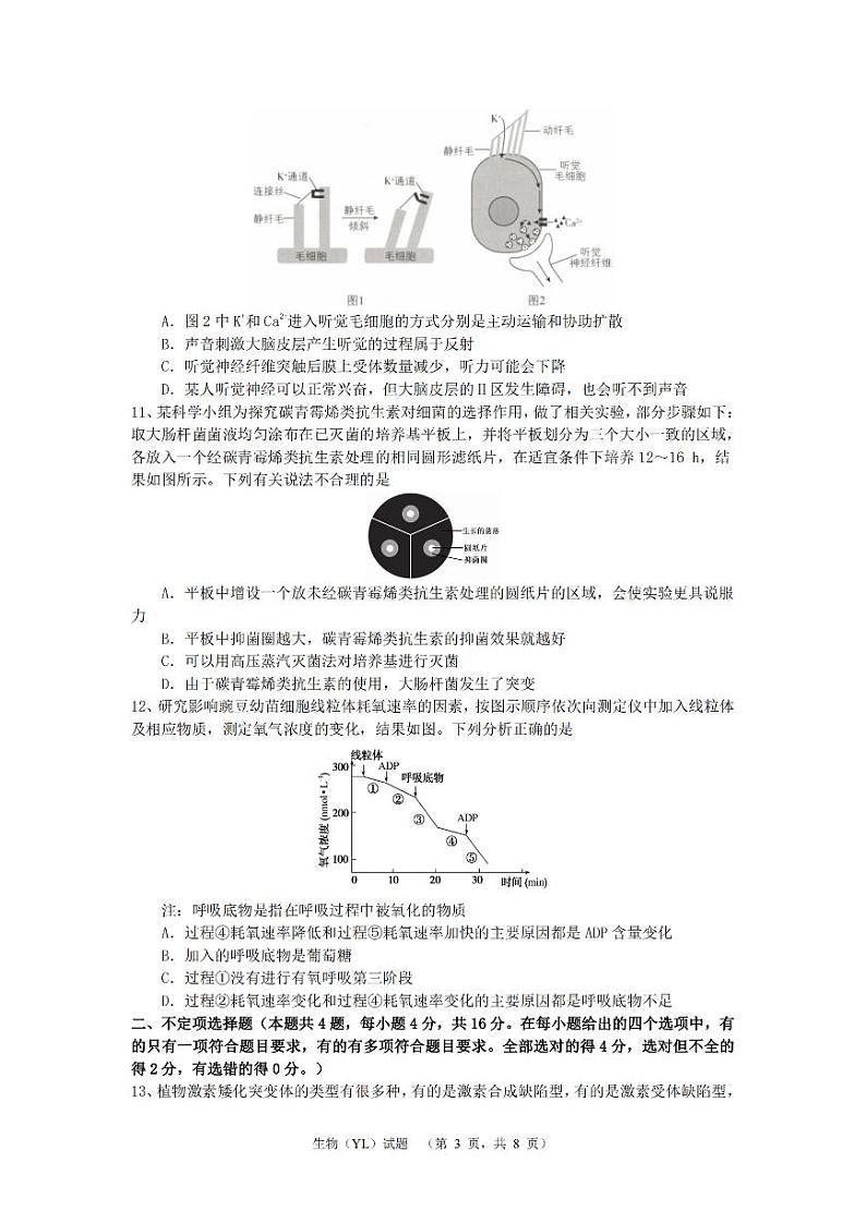 湖南省长沙市雅礼中学2024-2025学年高三上学期（9月）综合自主测试 生物03
