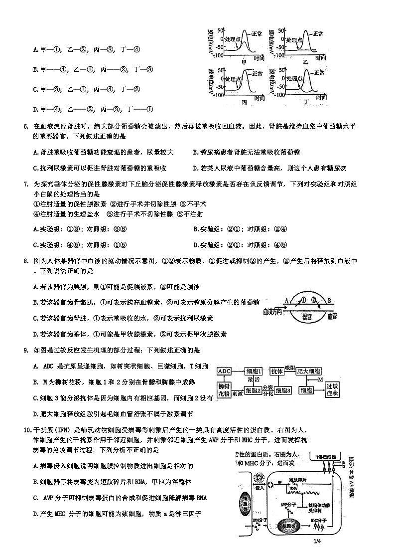 江苏省徐州市第三中学2024-2025学年高二上学期9月学情调研生物试题02
