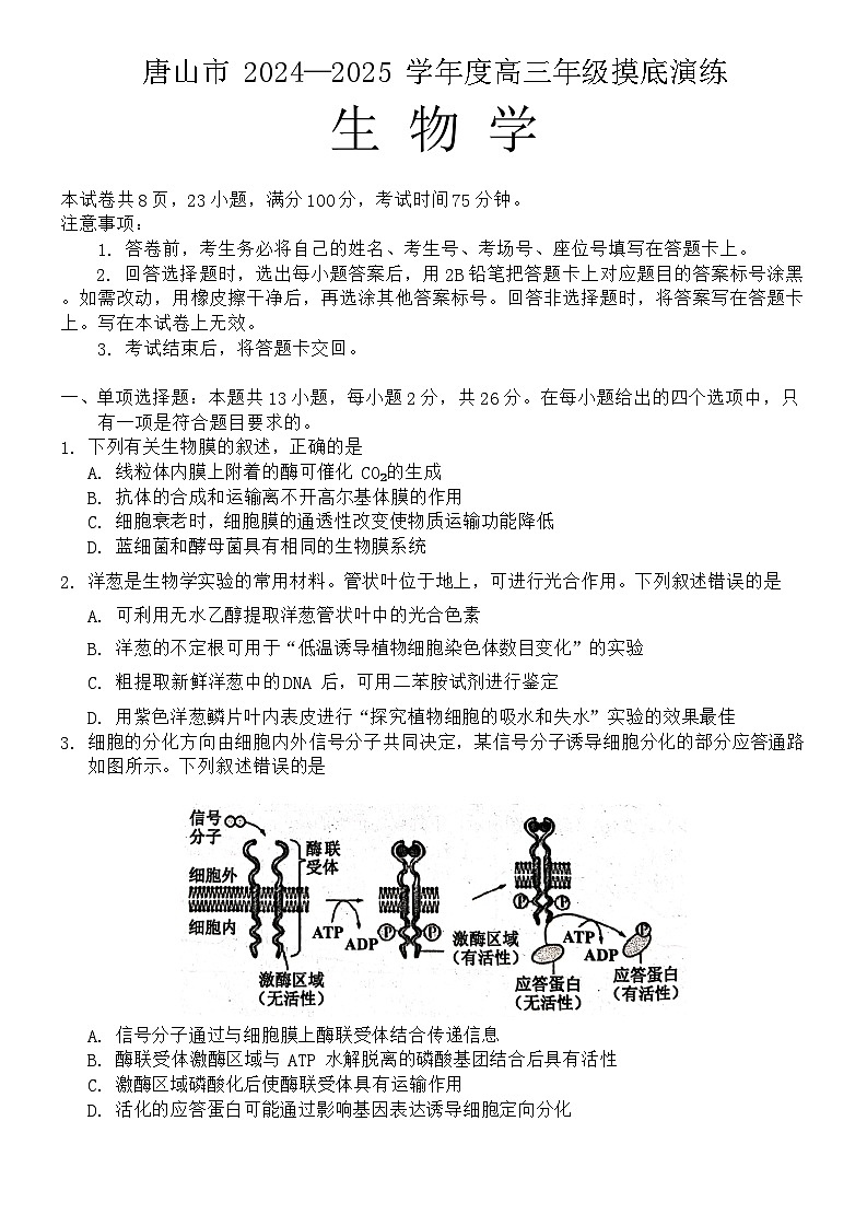 河北省唐山市2024-2025学年高三上学期摸底演练生物试题第1页