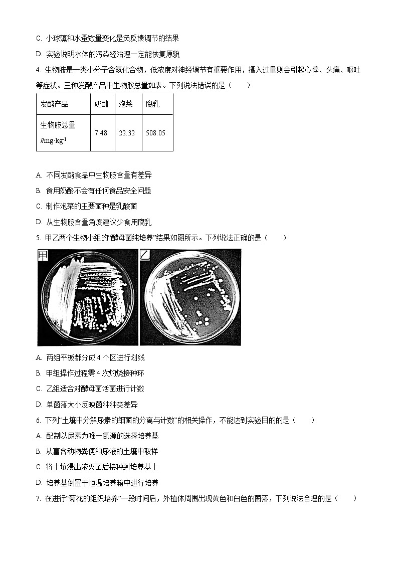 北京市西城区2023-2024学年高二下学期7月期末考试生物试题  Word版无答案第2页