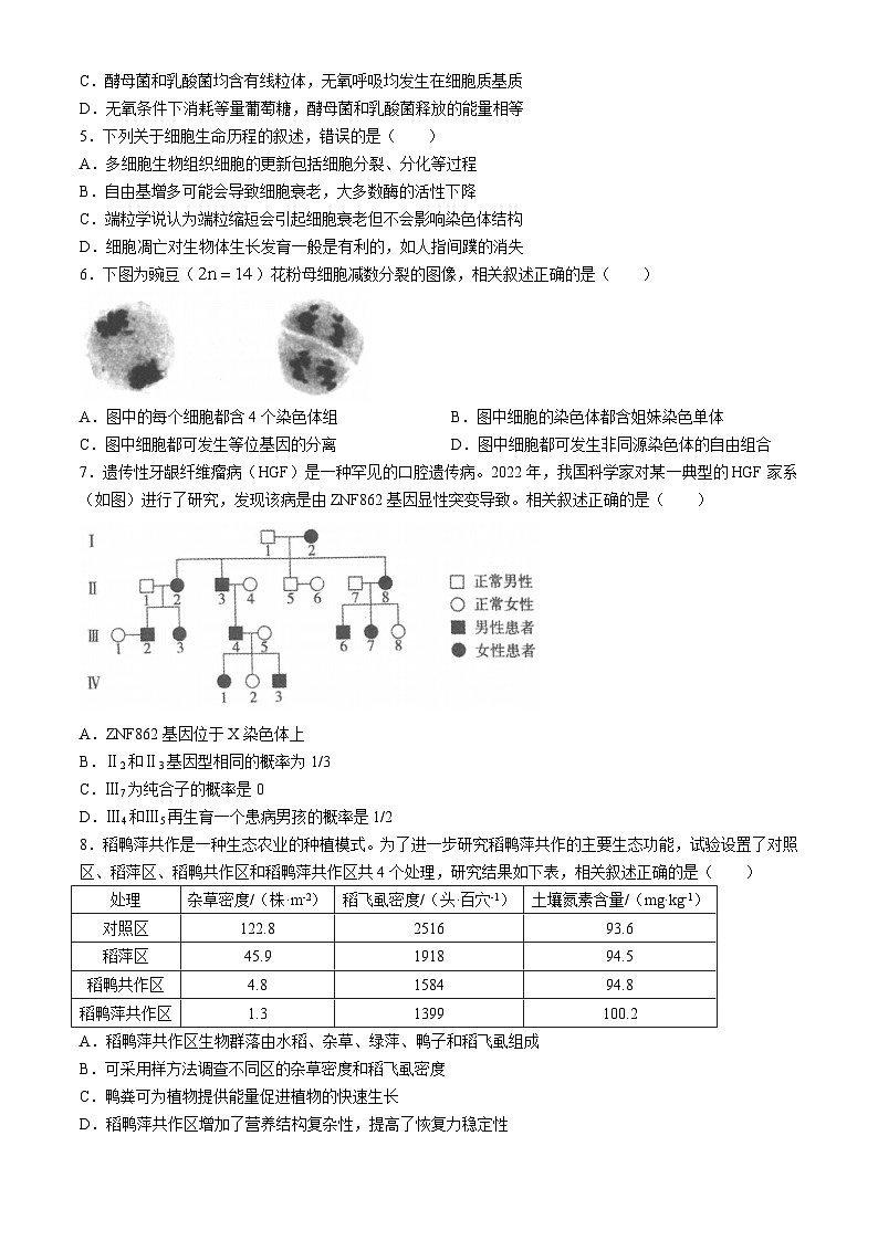 江苏省南通市2024-2025学年高三上学期开学考试生物试题第2页