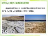 沪科技版(2020)高中生物 必修一 1.2 实验探究是学习生物学的重要途径 课件