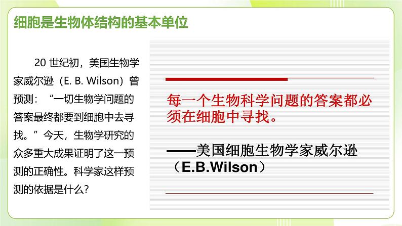 沪科技版(2020)高中生物 必修一 1.3 细胞是生物体结构的基本单位 课件02