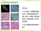 沪科技版(2020)高中生物 必修一 1.3 细胞是生物体结构的基本单位 课件