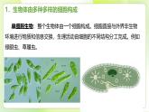 沪科技版(2020)高中生物 必修一 1.3 细胞是生物体结构的基本单位 课件
