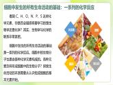 沪科技版(2020)高中生物 必修一 2.1 C、H、O、N、P、S 等元素组成复杂的生物分子 课件