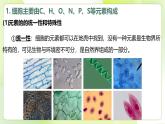 沪科技版(2020)高中生物 必修一 2.1 C、H、O、N、P、S 等元素组成复杂的生物分子 课件