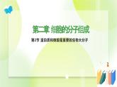 沪科技版(2020)高中生物 必修一 2.2 蛋白质和核酸是重要的生物大分子 课件