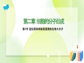 沪科技版(2020)高中生物 必修一 2.2 蛋白质和核酸是重要的生物大分子 课件