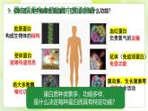 沪科技版(2020)高中生物 必修一 2.2 蛋白质和核酸是重要的生物大分子 课件