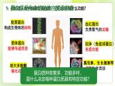 沪科技版(2020)高中生物 必修一 2.2 蛋白质和核酸是重要的生物大分子 课件
