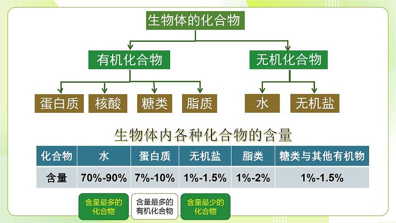 沪科技版(2020)高中生物 必修一 2.4 水和无机盐是生命活动的必需物质 课件03