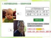 沪科技版(2020)高中生物 必修一 2.4 水和无机盐是生命活动的必需物质 课件