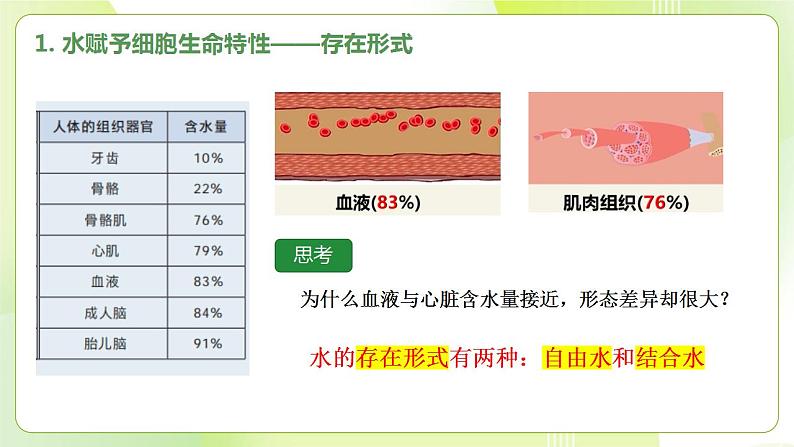 沪科技版(2020)高中生物 必修一 2.4 水和无机盐是生命活动的必需物质 课件07