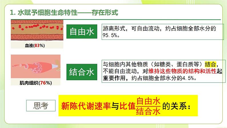 沪科技版(2020)高中生物 必修一 2.4 水和无机盐是生命活动的必需物质 课件08