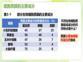 沪科技版(2020)高中生物 必修一 3.1 细胞由质膜包裹 课件