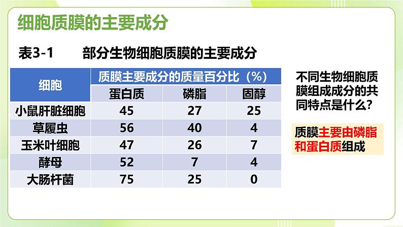 沪科技版(2020)高中生物 必修一 3.1 细胞由质膜包裹 课件04