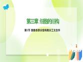 滬科技版(2020)高中生物 必修一 3.2.2 細(xì)胞各部分結(jié)構(gòu)既分工又合作（細(xì)胞核與分泌蛋白）課件