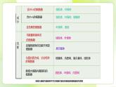 滬科技版(2020)高中生物 必修一 3.2.2 細(xì)胞各部分結(jié)構(gòu)既分工又合作（細(xì)胞核與分泌蛋白）課件