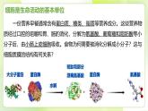 沪科技版(2020)高中生物 必修一 4.1 细胞通过质膜与外界进行物质交换 课件