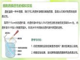 沪科技版(2020)高中生物 必修一 4.1 细胞通过质膜与外界进行物质交换 课件