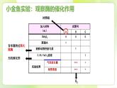 沪科技版(2020)高中生物 必修一 4.2 酶催化细胞的化学反应 课件