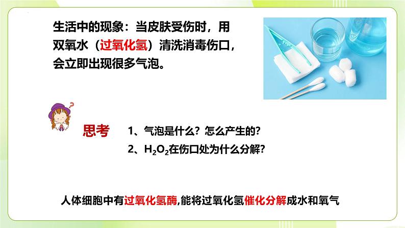 沪科技版(2020)高中生物 必修一 4.2 酶催化细胞的化学反应 课件05