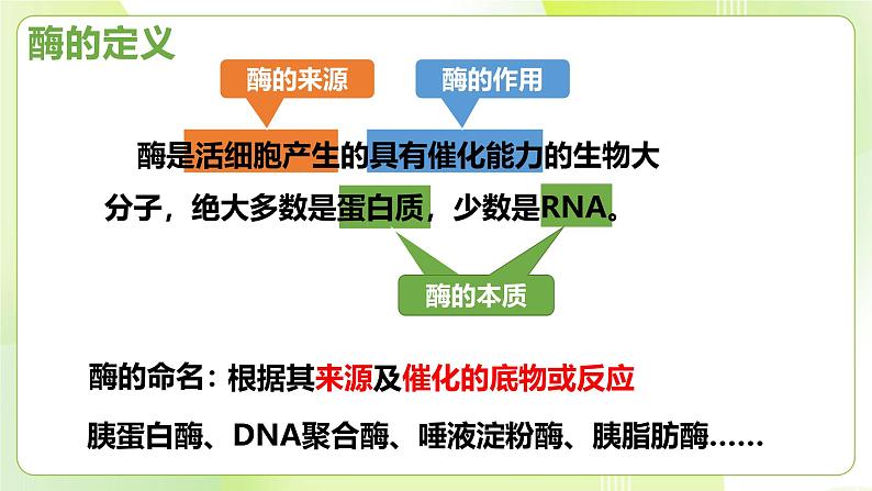 沪科技版(2020)高中生物 必修一 4.2 酶催化细胞的化学反应 课件07