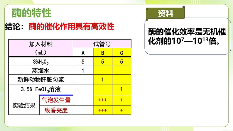 沪科技版(2020)高中生物 必修一 4.2 酶催化细胞的化学反应 课件08